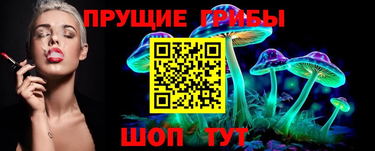 Галлюциногенные грибы прущие грибы  Вход с VPN  Сальск 